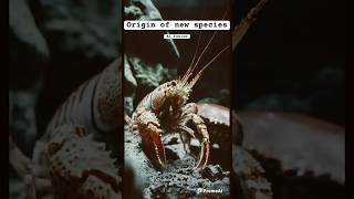 The origin of new species by Fusion AI #hybrids #youtubeshorts #shorts #animalai #trending #animals