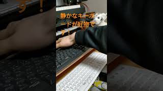 【機材紹介】キーボードって劣化するんですね！！Logicool ロジクール K275/K295を再購入しての感想！ #review #Logicool #おすすめ