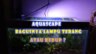 Cahaya Lampu Yang Tepat Agar Aquascape Bebas Alga