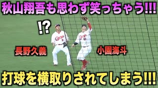 秋山翔吾も爆笑ww小園海斗に横取りされてしまう長野久義www