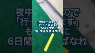 【コロナ禍出産】行ってきますも言えずに6日間はなればなれ【退院】