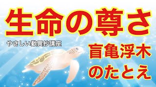 生命の尊さ・盲亀浮木のたとえ