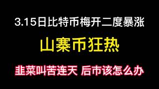 3.15日比特币梅开二度暴涨至25000！山寨币狂热！韭菜叫苦连天！后市百分百涨！