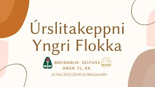 Úrslitakeppni Yngri Flokka🏀Breiðablik - Selfoss ungm.fl. kk.