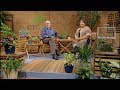 Dimension with Houseplants & Patio Plants |Michelle Pfluger |Central Texas Gardener