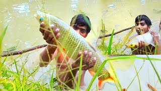 Net Fishing In Pond | Fishing Video | Primitive Survival | Primitive Technology| #fishing #primitive