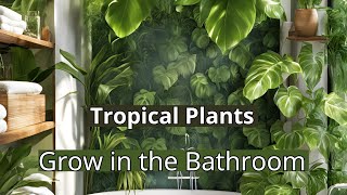 17 Stunning Tropical Plants Perfect for Your Bathroom Oasis