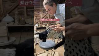 猫だってろくろ回したい！ネルソン監督、占領中。。#猫のいる暮らし #猫と陶芸家　#ねこ #ねこのいる生活