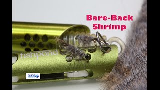 Bare-Back Shrimp