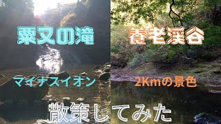 【粟又の滝🏞と養老渓谷🍁】千葉県日帰りのこじらせ旅＃3