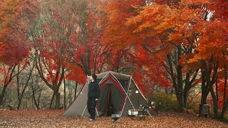 단풍나무가 많은 캠핑장, 여긴 어디?? 스노우피크 풀세팅으로 단풍캠핑 다녀왔습니다ㅣ 스노우피크 리빙쉘 Rㅣ항정 수육