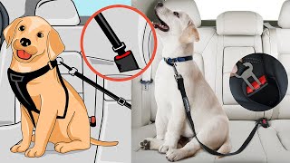 PawSafe - Dog Seat Belt Review  (Link Below ⬇️)