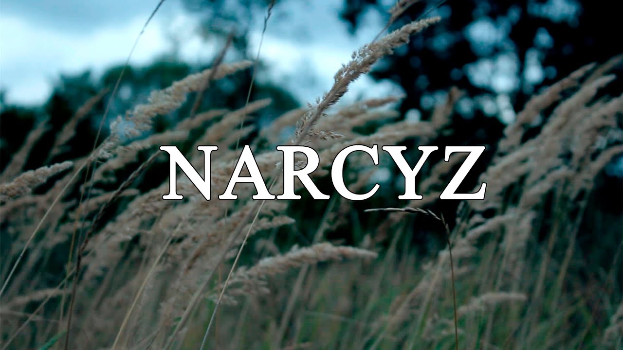 Narcyz Youtube
