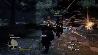 PS4 龍族教義 Dragon's Dogma:Dark Arisen