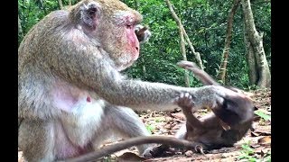 A greedy mother eating foods without sharing some to her poor baby and also hit her baby