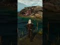 SECRETS OF THE WHALES in The Witcher 3 #shorts