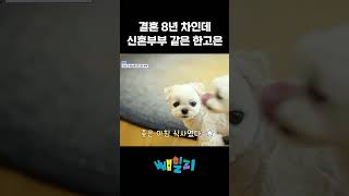 한고은 바라기 남편 신영수😊 #신랑수업