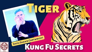 Tiger Kung Fu Style Animal Techniques & Applications - Kung Fu Secrets