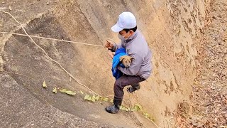 Dramatic rescue: poor puppy in the abyss, suspenseful until the last minuteMillions of hearts touche