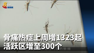 本地上周新增1323起骨痛热症病例 活跃区增至300个