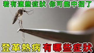 【健康】登革熱病症状有哪些？登革熱對人體的危害有哪些？#健康 #養生