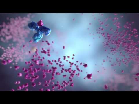 How does hepatitis virus infect cells?