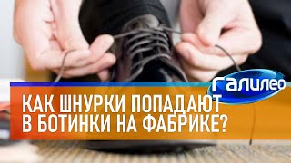 Галилео 👢 Как шнурки попадают в ботинки на фабрике?