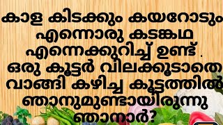 പച്ചക്കറികൾ/ vegetables