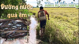 Xiệt(kích) lươn Đồng  cách nhà 10km và cái kết xém lỗ tiền xăng…