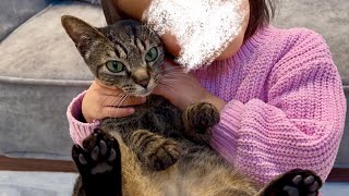 引っ込み思案な猫の心をひらいた5歳娘の猫との関わり方がすごかった