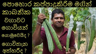 පොහොර කප්පාදු කිරිම මගින් 50% යකින් එලවලු සහල් ඇතුලු සියලුවර්ගවල මිල වැඩිවෙනවා rasayanika pohora