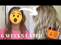 L'Oreal Paris Elvive Extraordinary Oil Hair Mask Review | 6 week review!