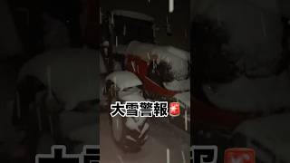 大雪警報🚨いきなり、冬が来た😂初冬直播きこれからなのに、、、#大雪 #大雪警報 #雪 #雪景色 #青森 #弘前#