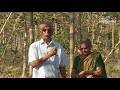 விவசாயிகளுக்கு கைகொடுக்கும் வேளாண் காடுகள் திட்டம் isha project greenhands trees for life