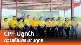 CPF ปลูกป่าถวายเป็นพระราชกุศล