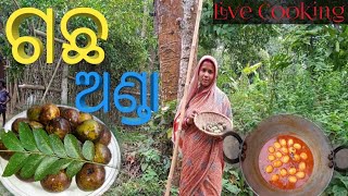 ଗଛ ଅଣ୍ଡା || ଏମିତି ବନାନ୍ତୁ ଗଛ ଅଣ୍ଡା || Live Village Cooking Recipe 🙏