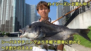 シーバスやチニングより手軽で簡単に釣れるヘチ釣りのススメ