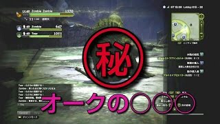 DDON / 覚者は見たっ！オークの○○○