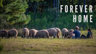 FOREVER HOME - Official Film Trailer!