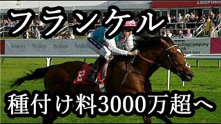 フランケルの種付け料が3000万超へ