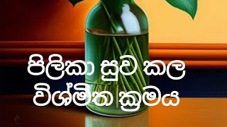 පිලිකාව සුවකල ව්ස්මිත ක්‍රමය🙏🙏