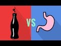 ¿El refresco de cola alivia los dolores estomacales? - Mito y Realidad