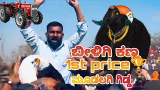 ಬಾಗಲಕೋಟೆ ಬೀಳಗಿ ಕಣ ಟಾಪ್ ಟೂರ್ನಮೆಂಟ್ ಕರ್ನಾಟಕ #trending #youtube #goat #sheepfarming #goatfarming#sheeps