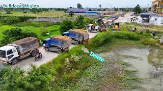 Delete pond, Processing Filling Up The Land huge, Bulldozer KOMATSU DR51PX, Dump Truck Unloading