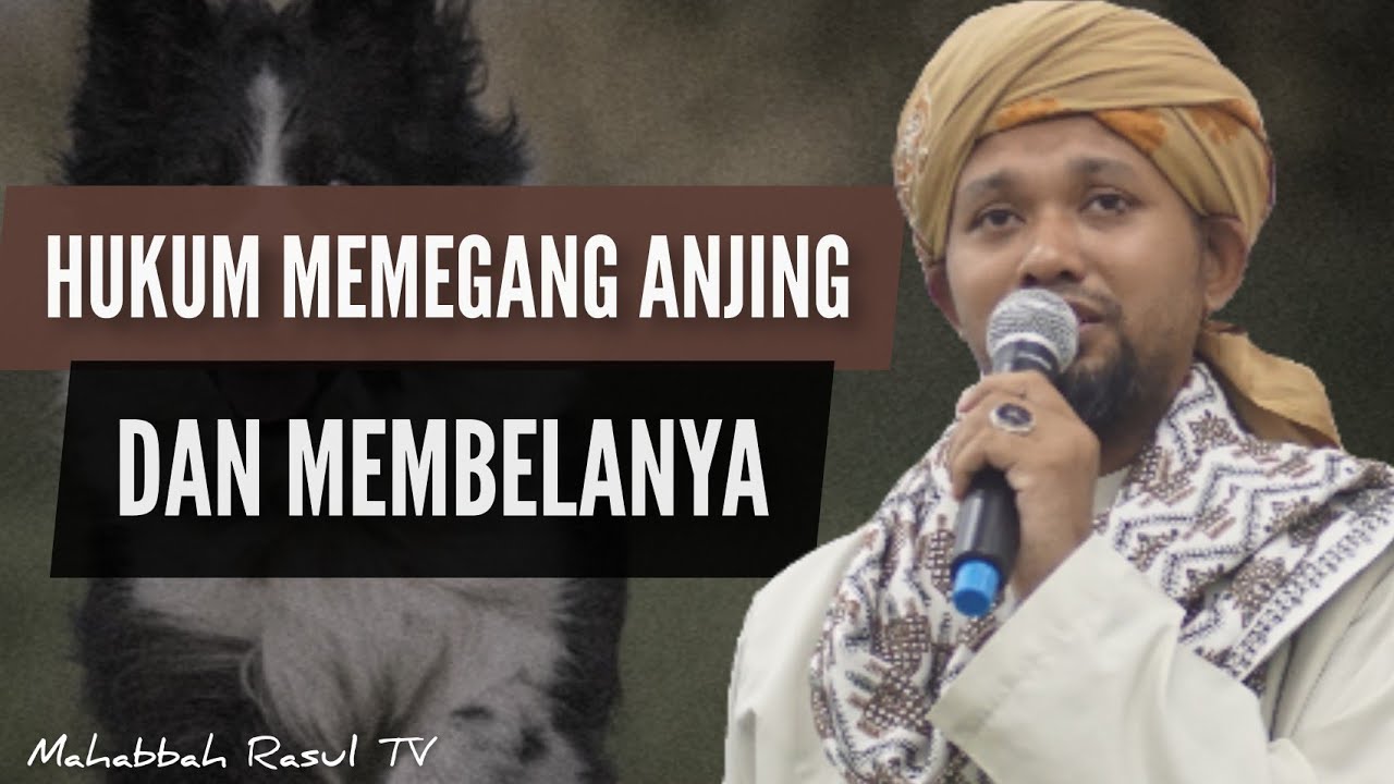 Hukum Memegang Anjing - Homecare24