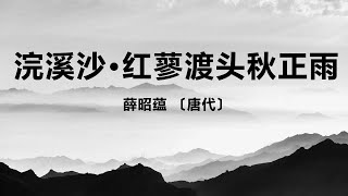 中国古诗词《浣溪沙·红蓼渡头秋正雨》薛昭蕴 〔唐代〕