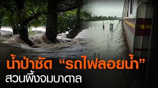 น้ำป่าซัด “รถไฟลอยน้ำ” สวนผึ้งจมบาดาล | TNN ข่าวดึก | 10 ต.ค. 63