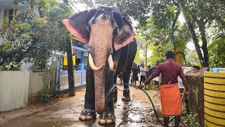 വേണാട്ടുമറ്റം ശ്രീകുമാറും രാജീവേട്ടനും തൃപ്രയാർ ഏകാദശിക്ക്😍🔥 Venattumattam Sreekumar \u0026 Rajeevettan 🔥