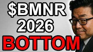 $BMNR Crash Update: THEY BOUGHT MORE (Me Too)