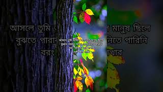 আসলে তুমি আমার জীবনে ভুল মানুষ ছিলে #sad